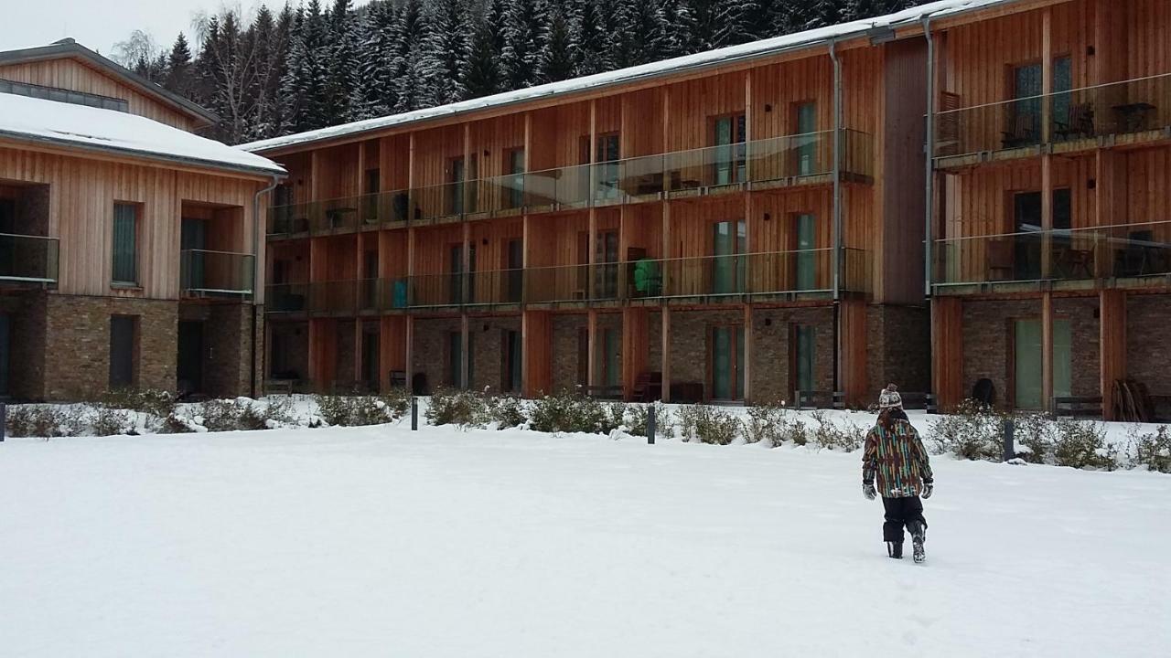 Apartman Medvedin 109 Spindleruv Mlyn Exterior photo
